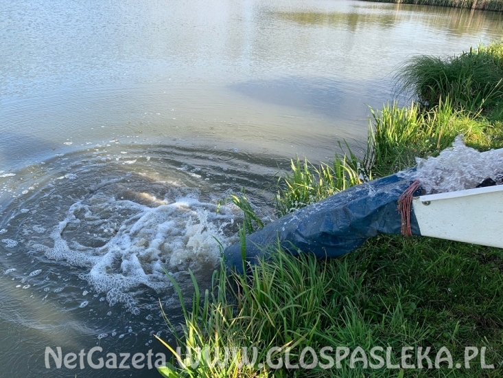 Zarybianie zakończone