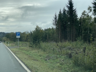 Pozdrowienia z gór Taunus i Frankfurtu