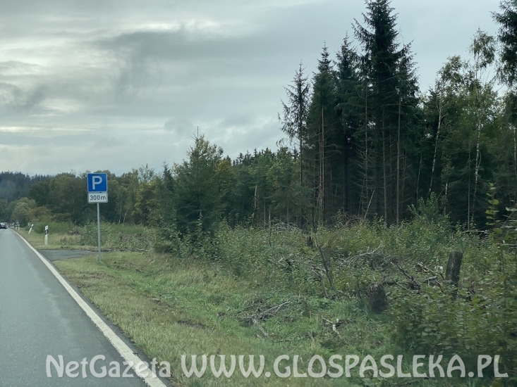 Pozdrowienia z gór Taunus i Frankfurtu