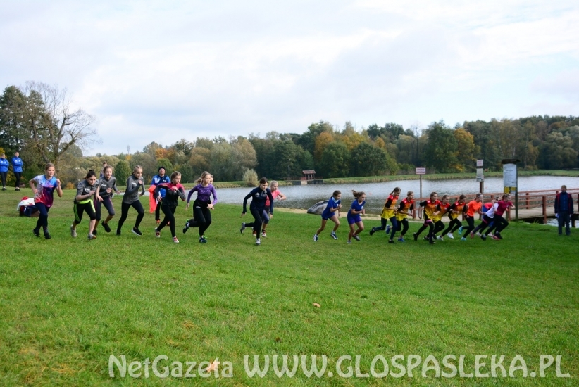 Przełaje w Parku Ekologicznym