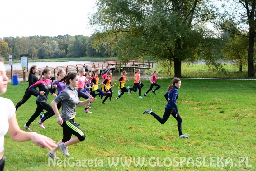 Przełaje w Parku Ekologicznym