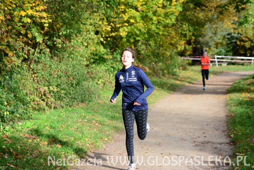 Przełaje w Parku Ekologicznym