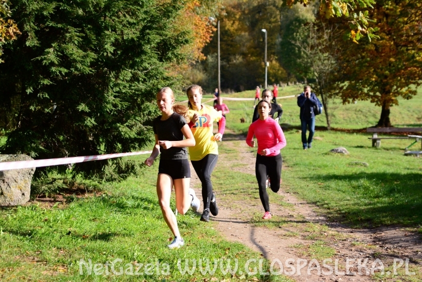Przełaje w Parku Ekologicznym