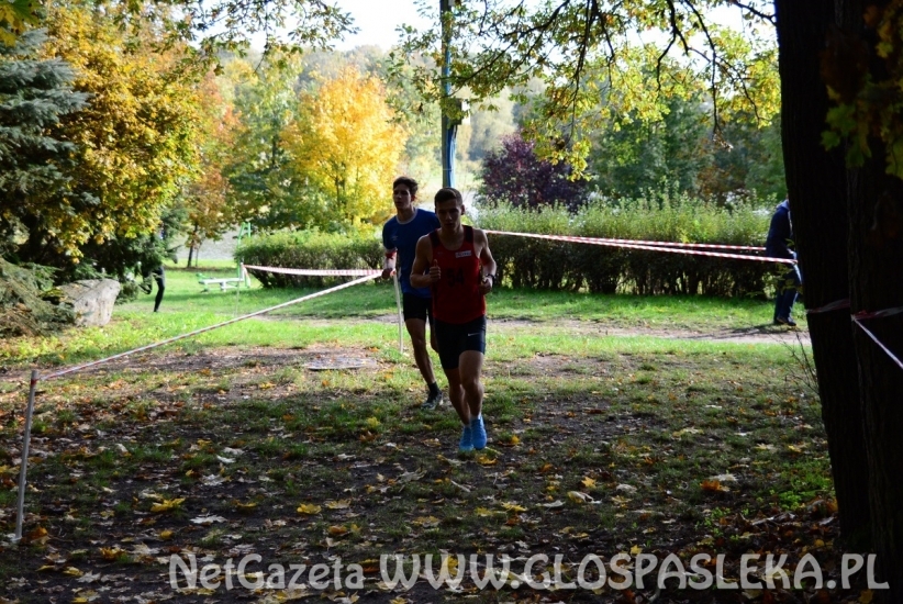 Przełaje w Parku Ekologicznym