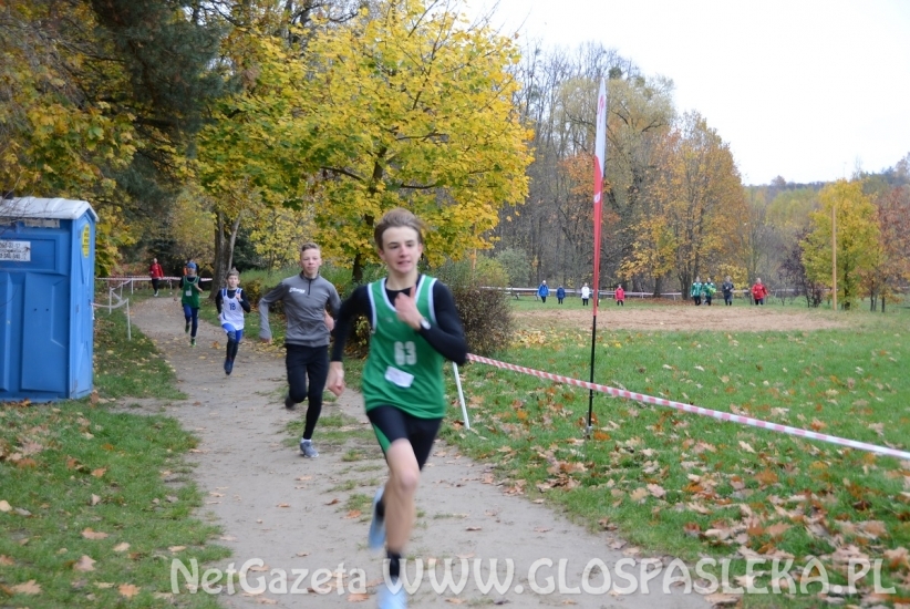 Mistrzostwa w przełajach