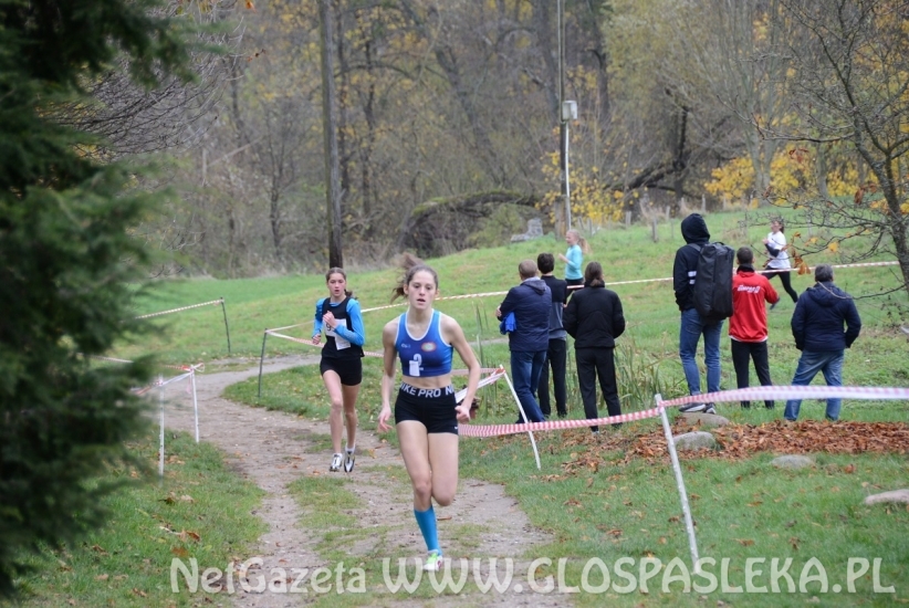 Mistrzostwa w przełajach