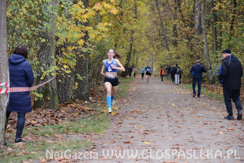 Mistrzostwa w przełajach
