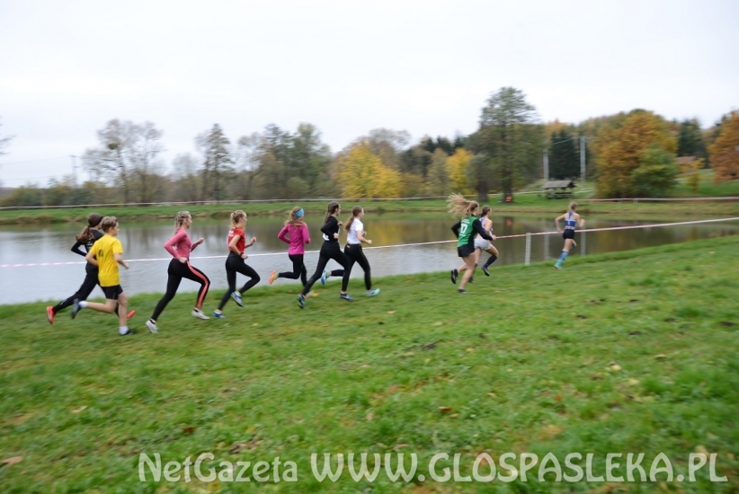 Mistrzostwa w przełajach