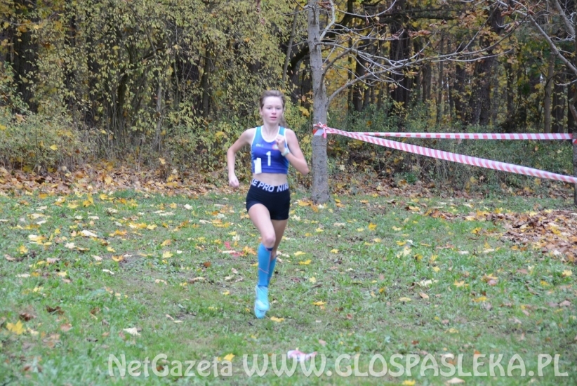 Mistrzostwa w przełajach