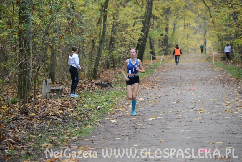 Mistrzostwa w przełajach