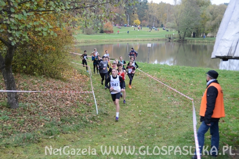 Mistrzostwa w przełajach