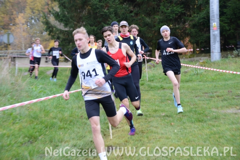 Mistrzostwa w przełajach