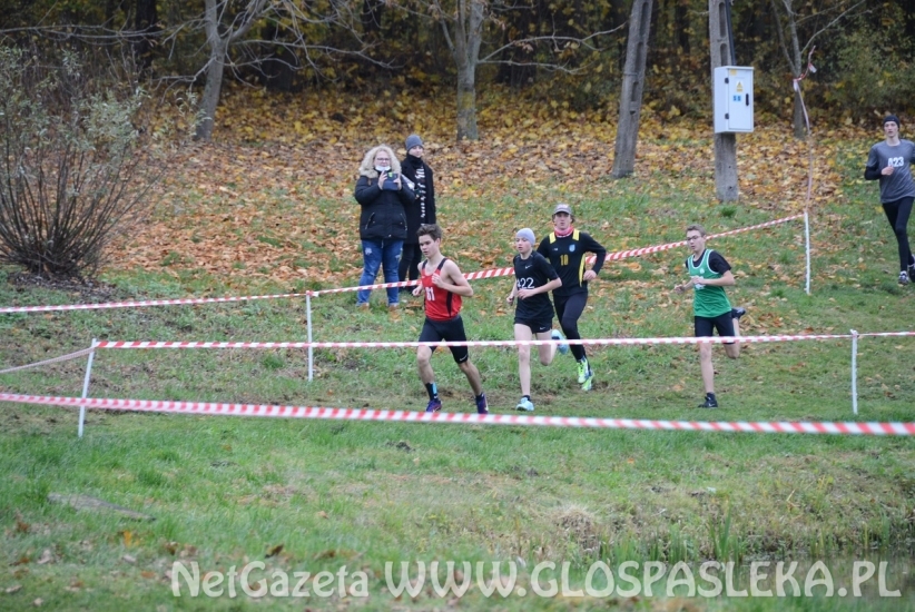 Mistrzostwa w przełajach