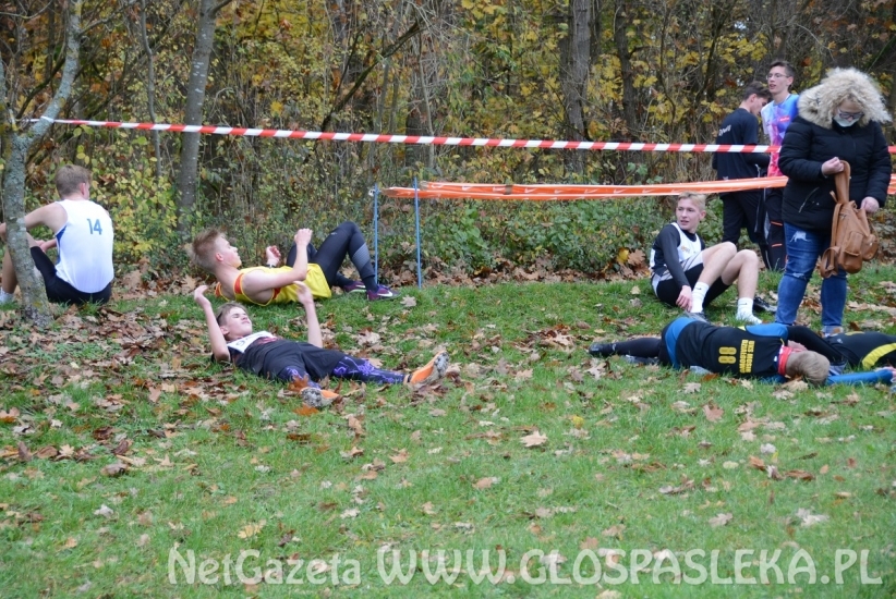 Mistrzostwa w przełajach