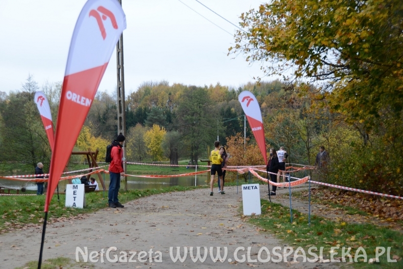 Mistrzostwa w przełajach