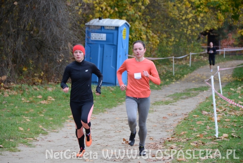 Mistrzostwa w przełajach