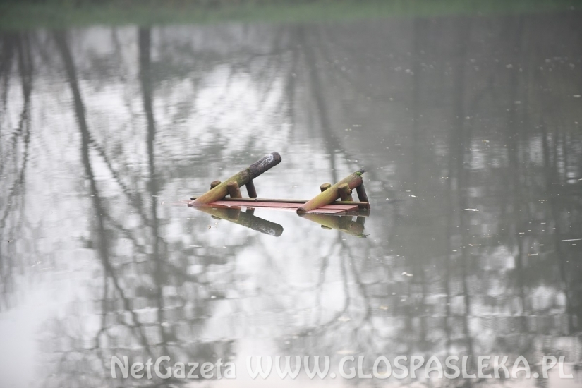 Zdewastowano miejsce wokół Dębu Papieskiego