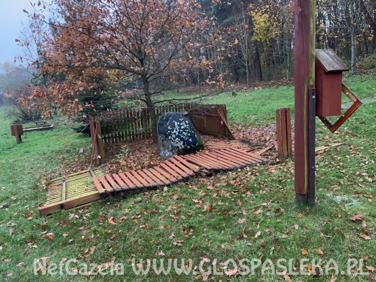 Zdewastowano miejsce wokół Dębu Papieskiego