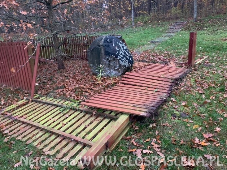 Zdewastowano miejsce wokół Dębu Papieskiego