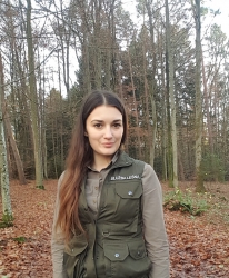 Inżynieria wodna według bobra