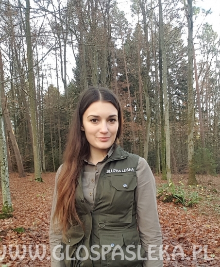 Inżynieria wodna według bobra