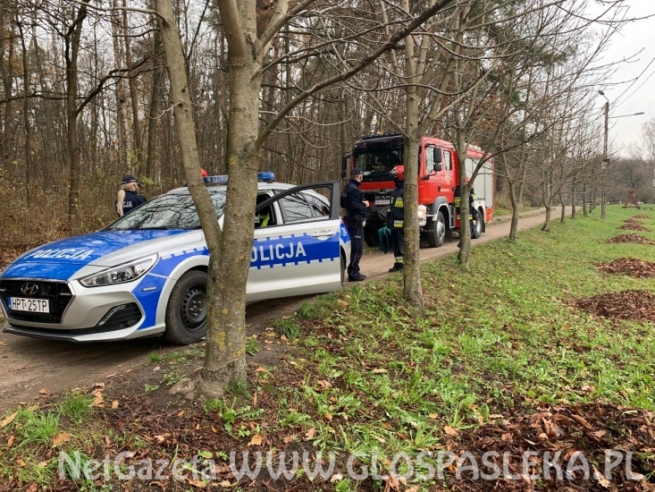 Łabędź z kotwicą w szyi 