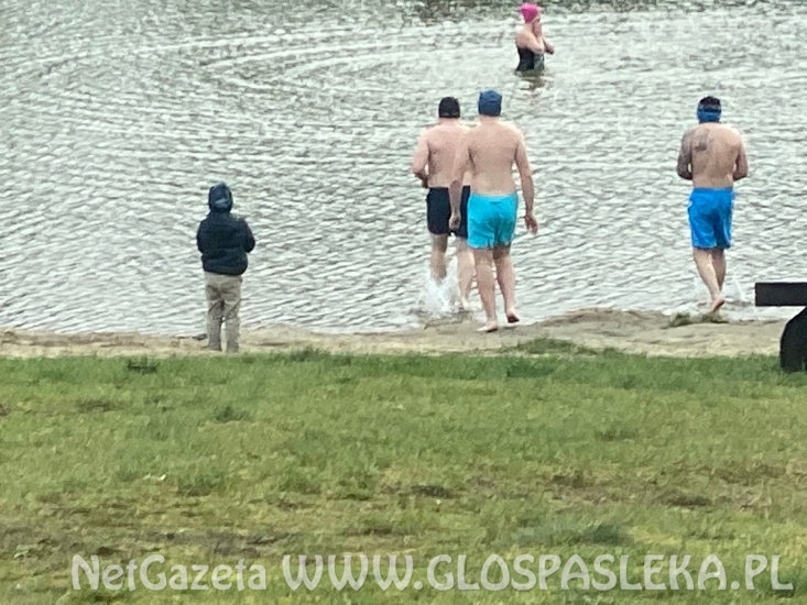 Niedziela – Dzień Morsa