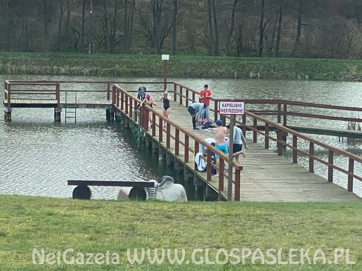 Niedziela – Dzień Morsa