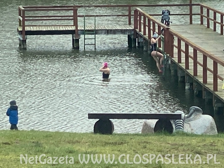 Niedziela – Dzień Morsa