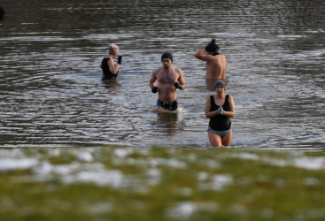 Świąteczna kąpiel morsów