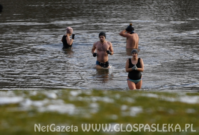 Świąteczna kąpiel morsów