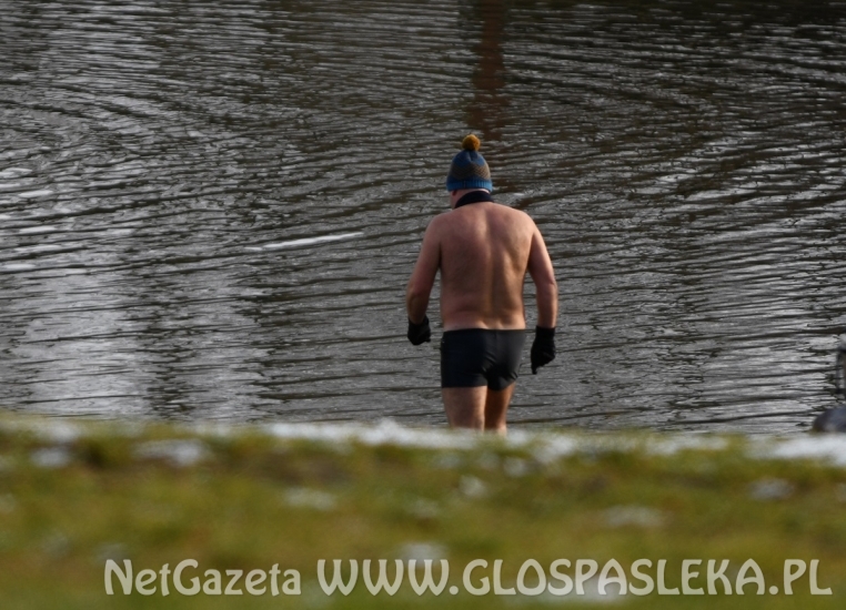 Świąteczna kąpiel morsów