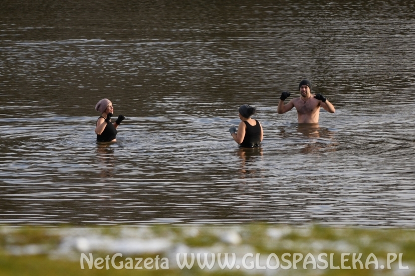 Świąteczna kąpiel morsów