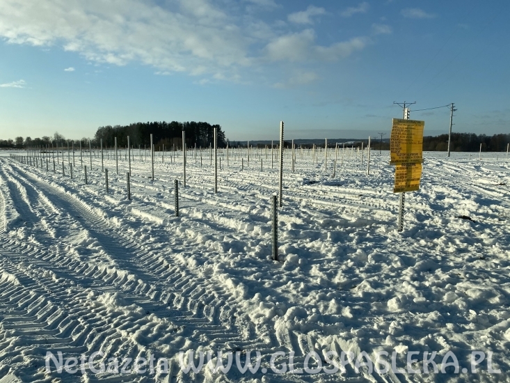 Powstaje nowa farma fotowoltaiczna