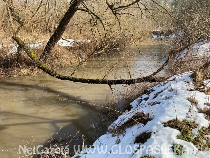 Powódź nam nie grozi