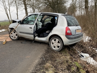 Renault clio na drzewie