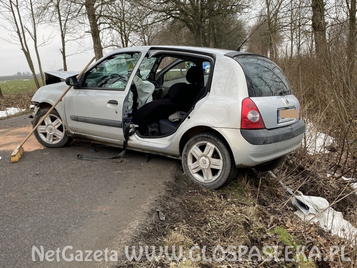 Renault clio na drzewie