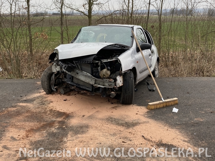 Renault clio na drzewie