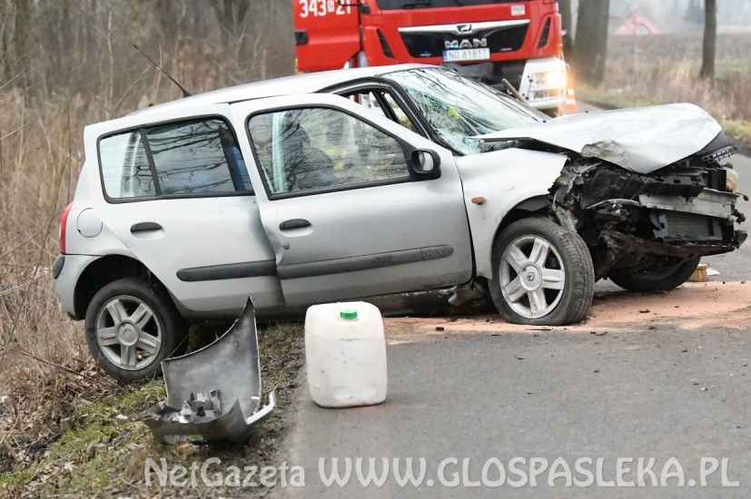 Renault clio na drzewie