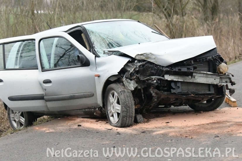 Renault clio na drzewie