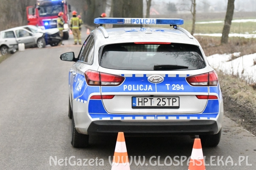 Renault clio na drzewie