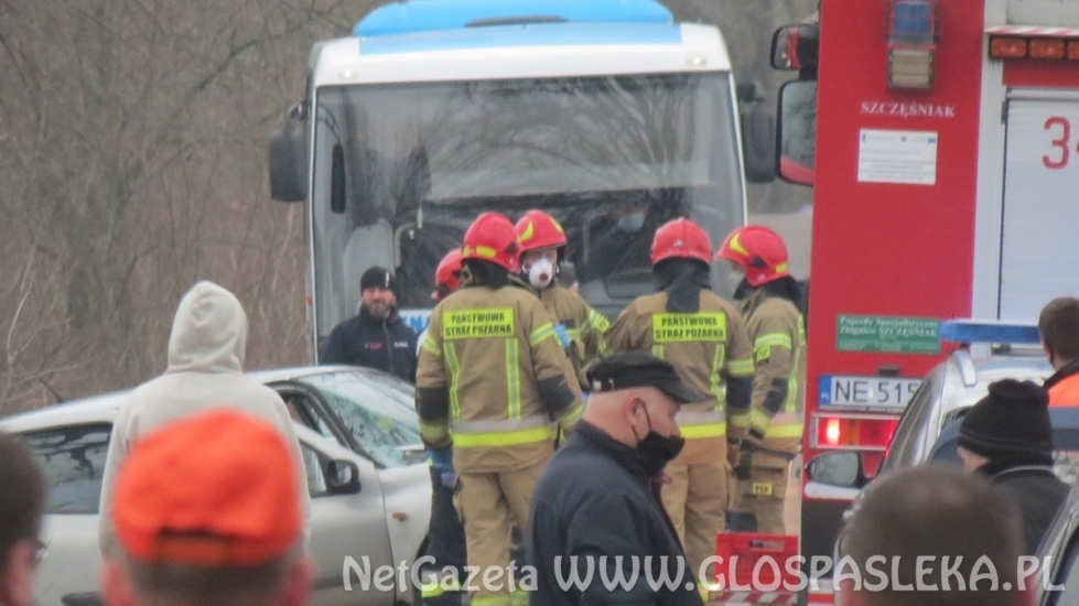 Renault clio na drzewie