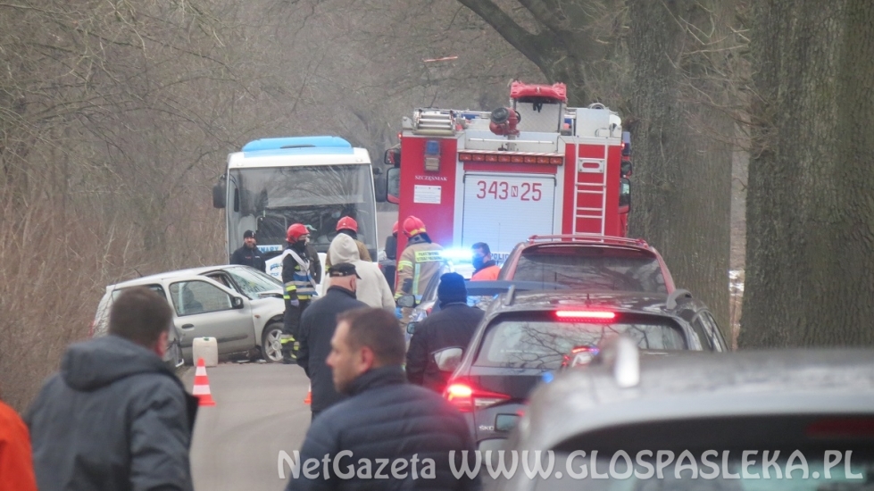 Renault clio na drzewie