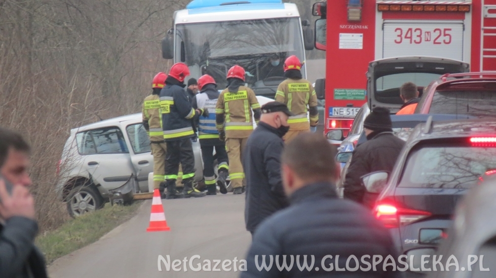 Renault clio na drzewie