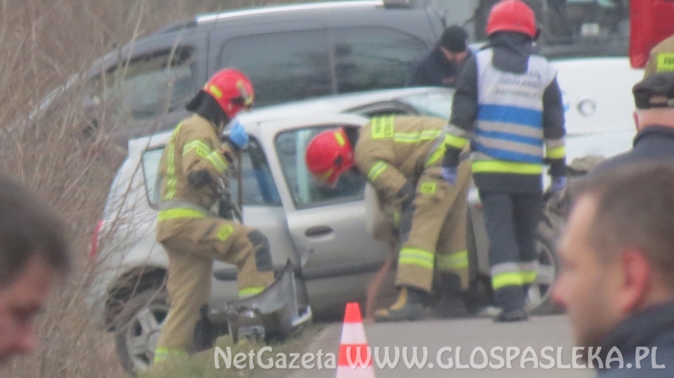 Renault clio na drzewie