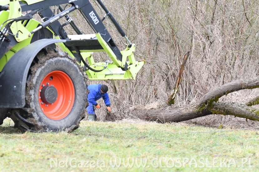 Usuwają zatory z Wąskiej