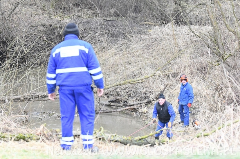 Usuwają zatory z Wąskiej
