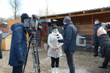 Służba więzienna dla schroniska Psi Raj