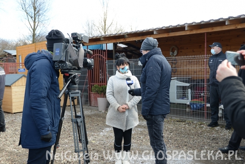 Służba więzienna dla schroniska Psi Raj