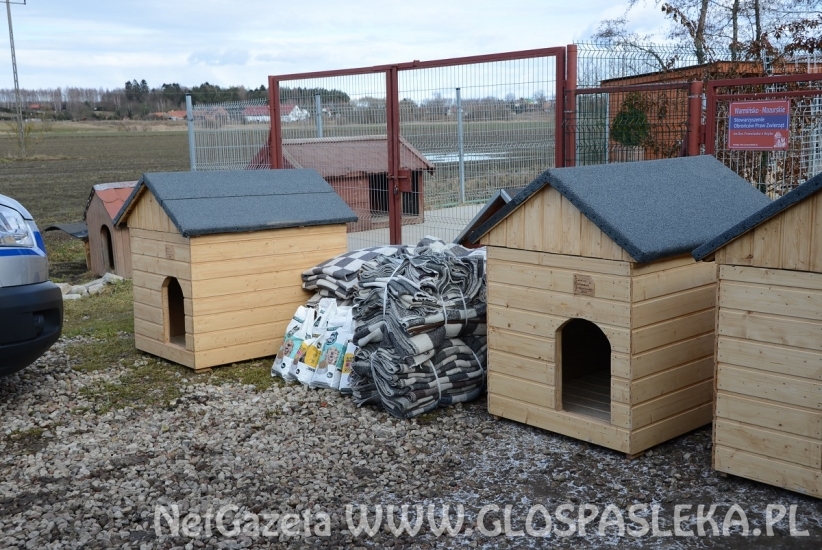 Służba więzienna dla schroniska Psi Raj